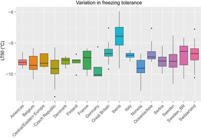 A genome-wide association study of freezing tolerance in red clover (Trifolium pratense L.) germplasm of European origin